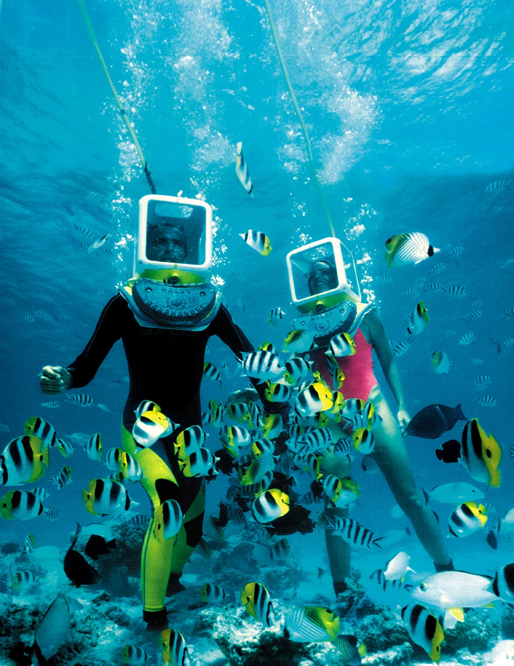 Sea Walking